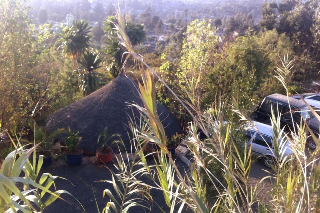 Sunshine H. C. Apartments Addis Ababa Dış mekan fotoğraf